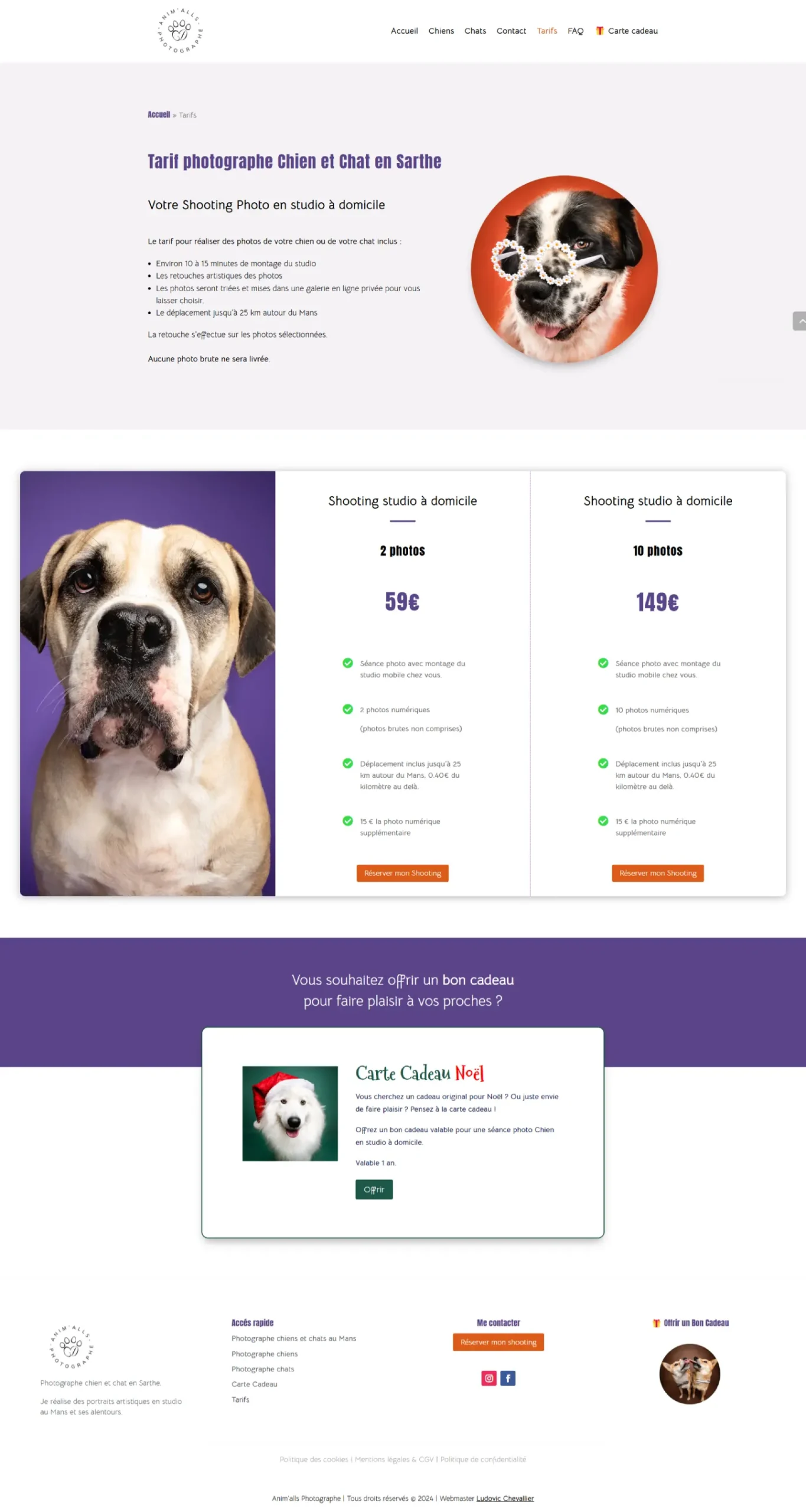 Tarif photographe chiens et chats en Sarthe - animalls-photographe.fr